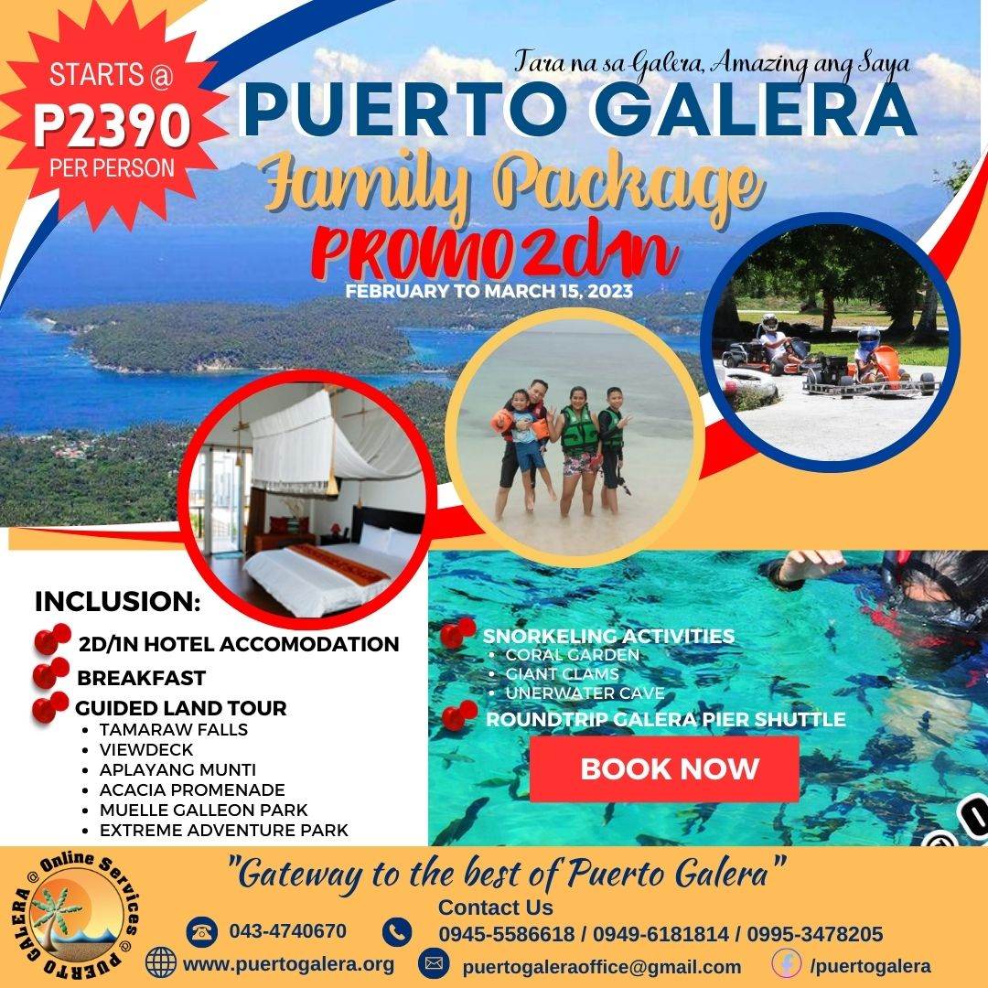 puerto galera online tourist registration